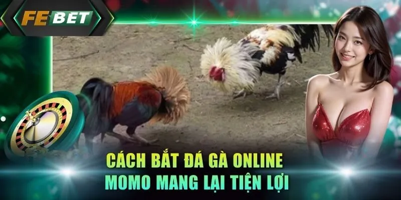 cach-bat-da-ga-online-momo-mang-lai-tien-loi