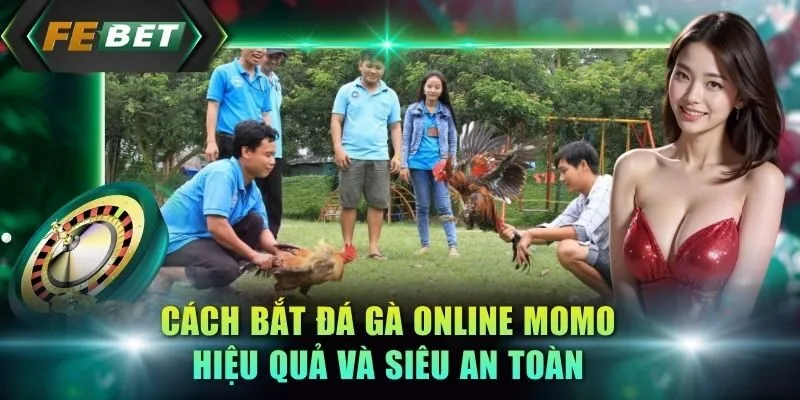 cach-bat-da-ga-online-momo