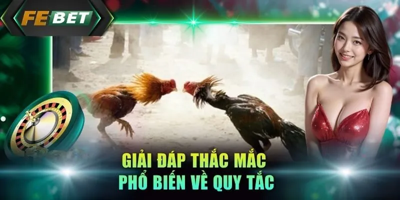 giai-dap-thac-mac-pho-bien-ve-quy-tac