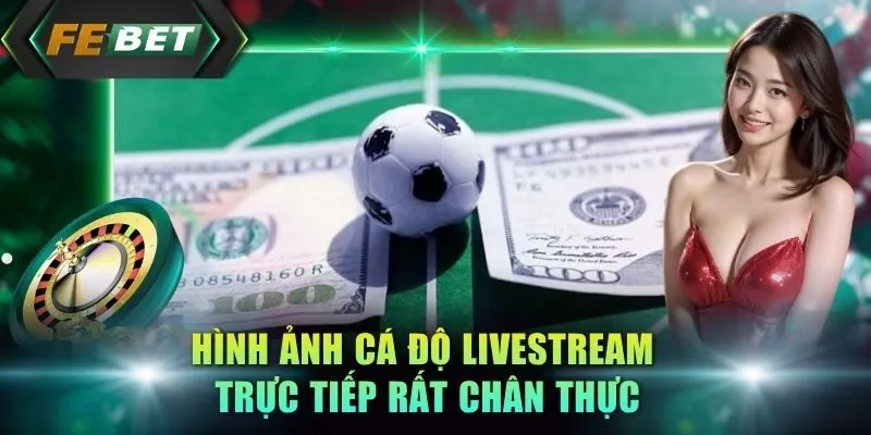hinh-anh-ca-do-livestream-truc-tiep-rat-chan-thuc