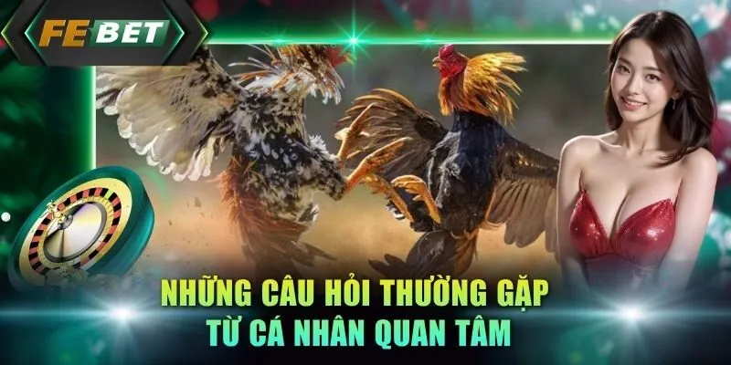 nhung-cau-hoi-thuong-gap-tu-ca-nhan-quan-tam