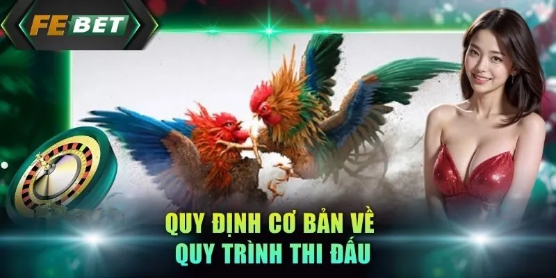 quy-dinh-co-ban-ve-quy-trinh-thi-dau