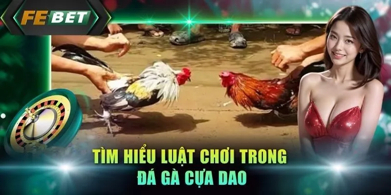 tim-hieu-luat-choi-trong-da-ga-cua-dao