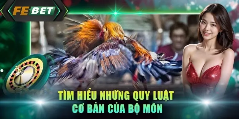 tim-hieu-nhung-quy-luat-co-ban-cua-bo-mon